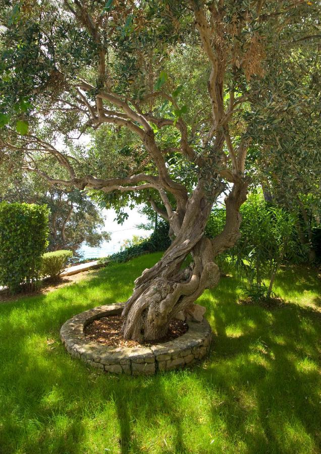 Holiday Home Duje Τρογκίρ Εξωτερικό φωτογραφία