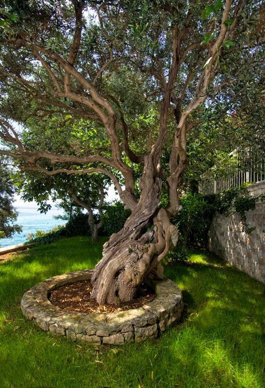 Holiday Home Duje Τρογκίρ Εξωτερικό φωτογραφία