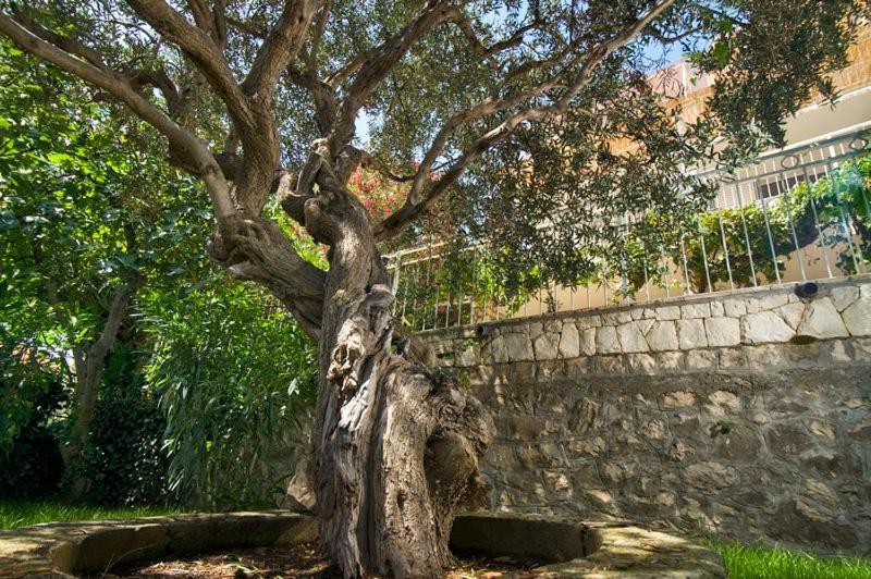 Holiday Home Duje Τρογκίρ Εξωτερικό φωτογραφία